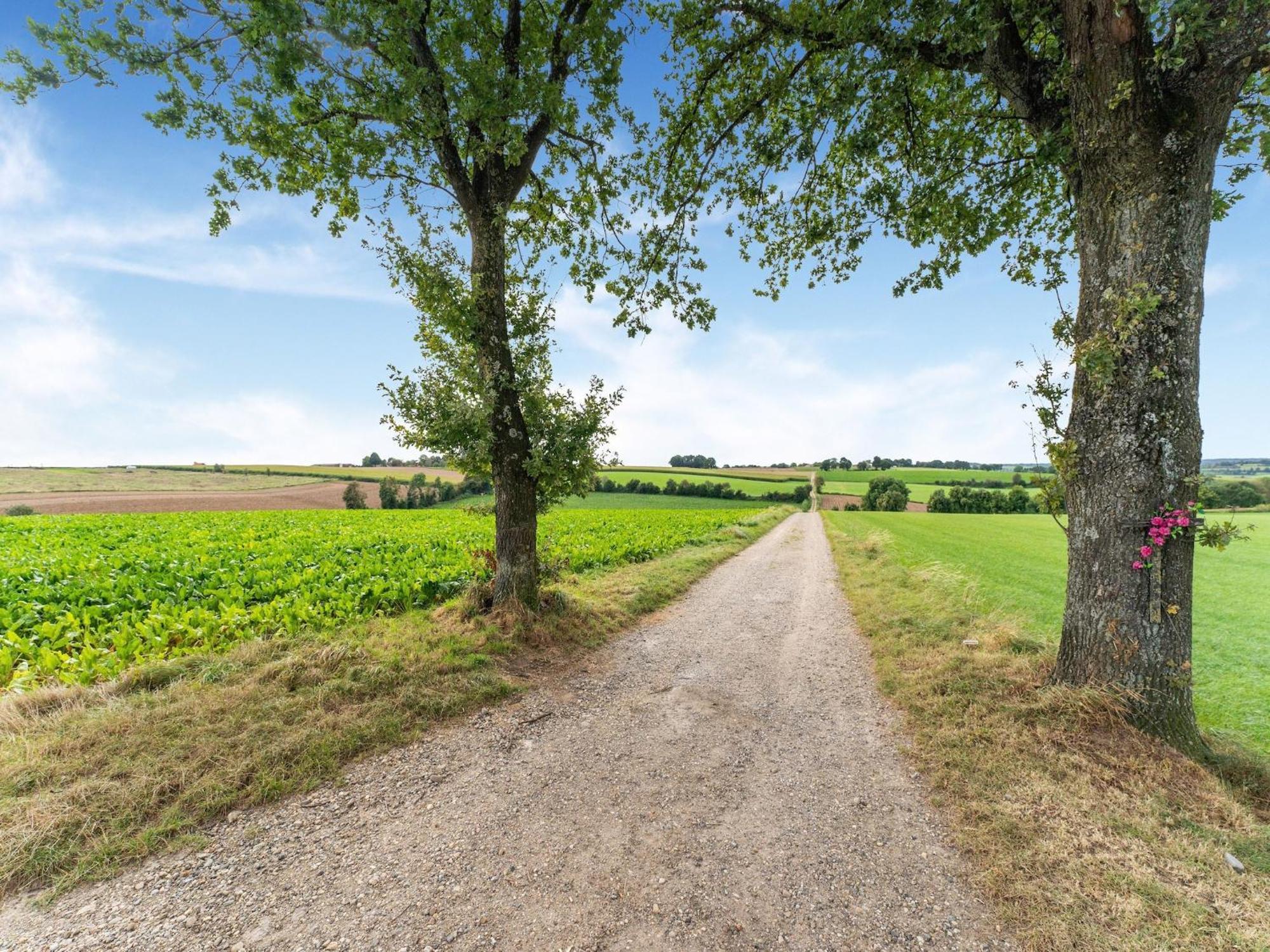 Vakantiehuis Homes In With A Picturesque Garden