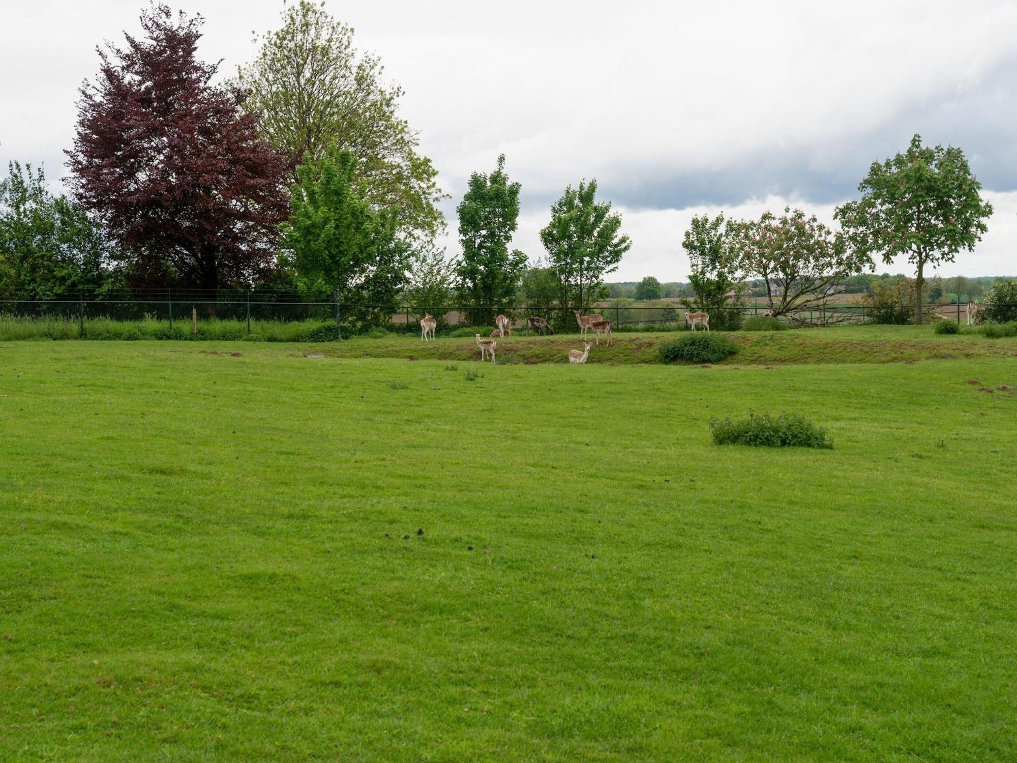 Vakantiehuis Homes In With A Picturesque Garden